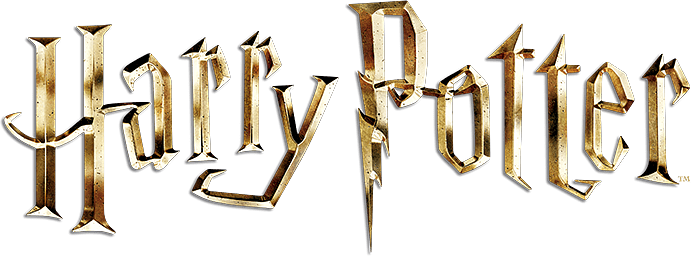 Bannière - Univers Harry Potter - D aa f ea c - Tenue de festival