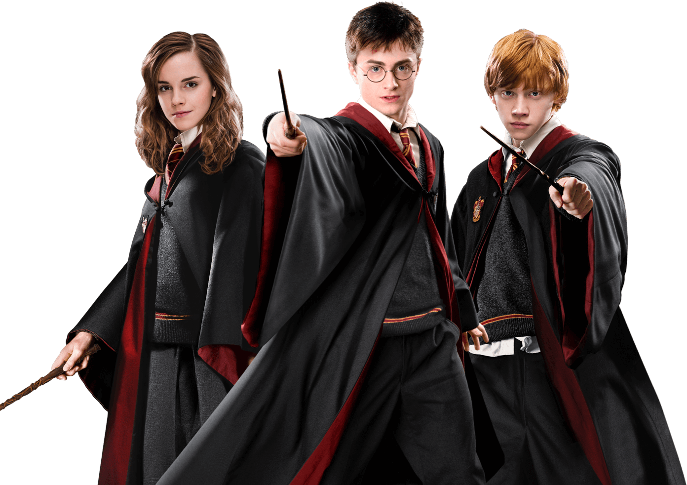 Perruque de cosplay "Bellatrix Lestrange" dans Harry Potter 6 Bannière - Univers Harry Potter - Hp about img - Tenue de festival