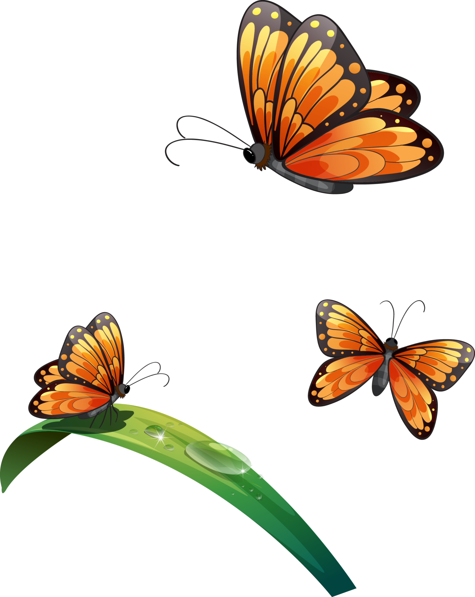 Cape avec ailes de papillon 2 illustration univers papillon tenue de festival